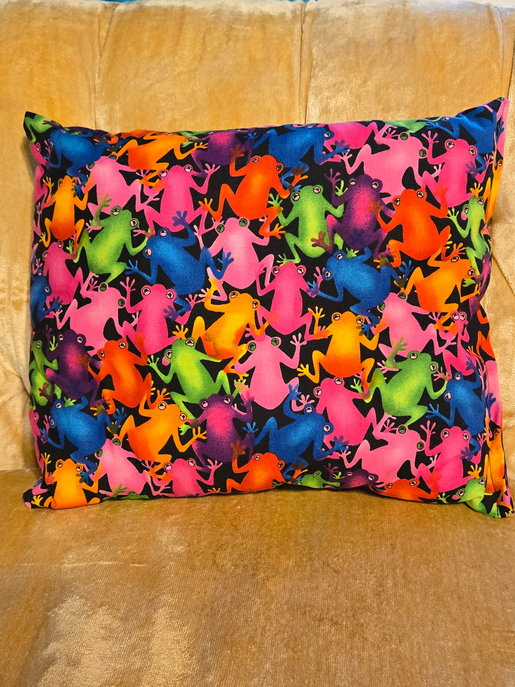 Rainbow Frog Pillow