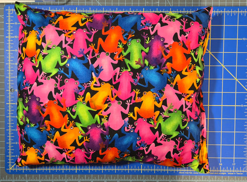Rainbow Frog Pillow